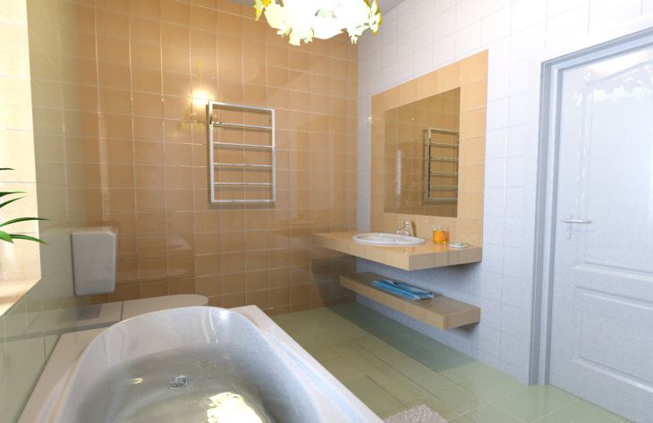 How to remove plaque from the toilet and bathroom using a cheap product: only experienced housewives know bathroom