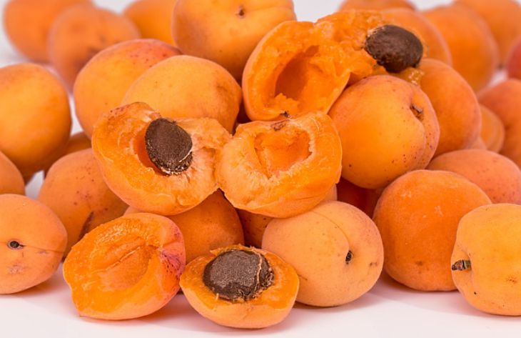 Por qué deberías incluir los albaricoques en tu dieta: la opinión de los nutricionistas albaricoques