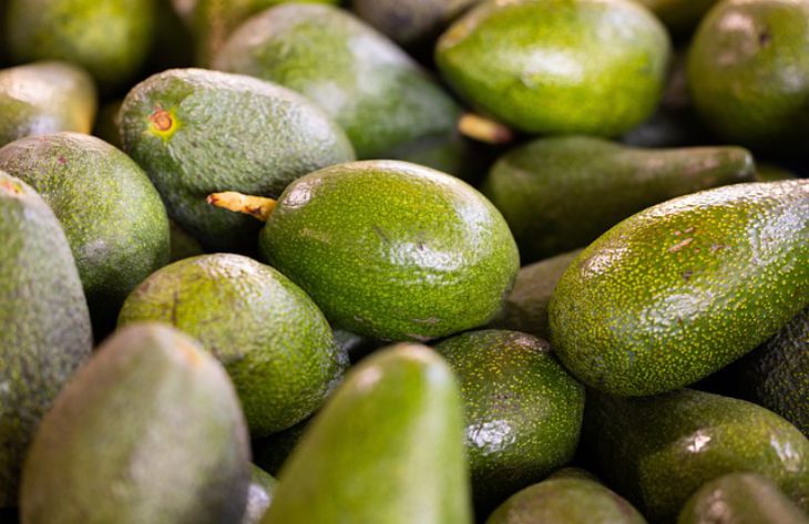 What Are The 3 Healthiest Foods In The World: You'll Be Surprised avocado