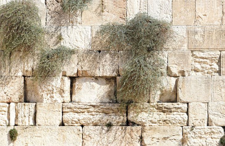 In which 3 unique places on the planet can you make a wish: not all tourists know about this wall