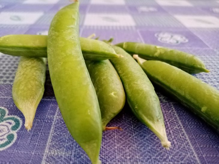 Comment accélérer la cuisson des pois : des ménagères expérimentées ont partagé leurs astuces pois