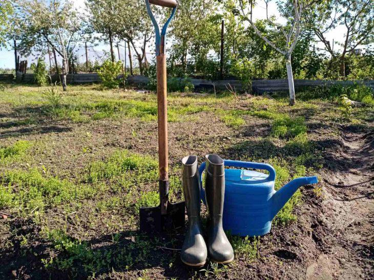 So behandeln Sie Ihren Garten im Herbst gegen Krankheiten und Schädlinge: Erfahrene Sommerbewohner haben ein einfaches Mittel entdeckt Garten