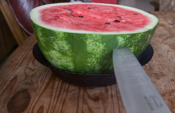 Is it possible to preserve a watermelon until the New Year: not all housewives know the correct answer watermelon