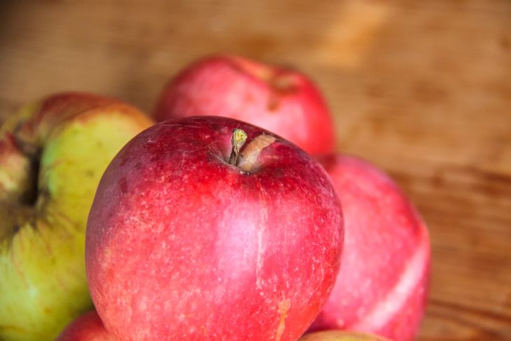 What are the most unusual apple varieties in the world: even experienced gardeners have never heard of these apples