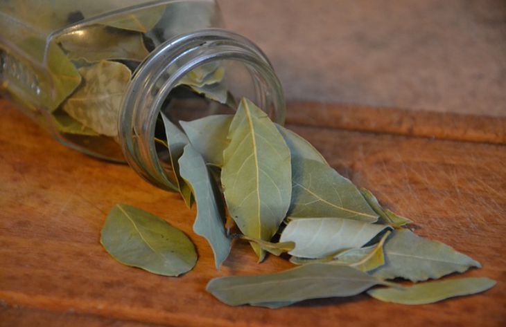 Why experienced housewives leave bay leaves and coriander in the kitchen: you will be surprised spices
