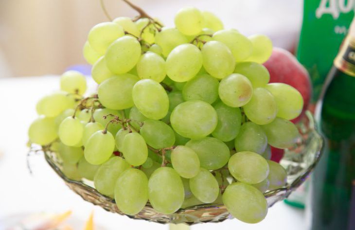 So füttern Sie jetzt Trauben für eine hervorragende Ernte: Sommerbewohner haben ihre Geheimnisse gelüftet Traube
