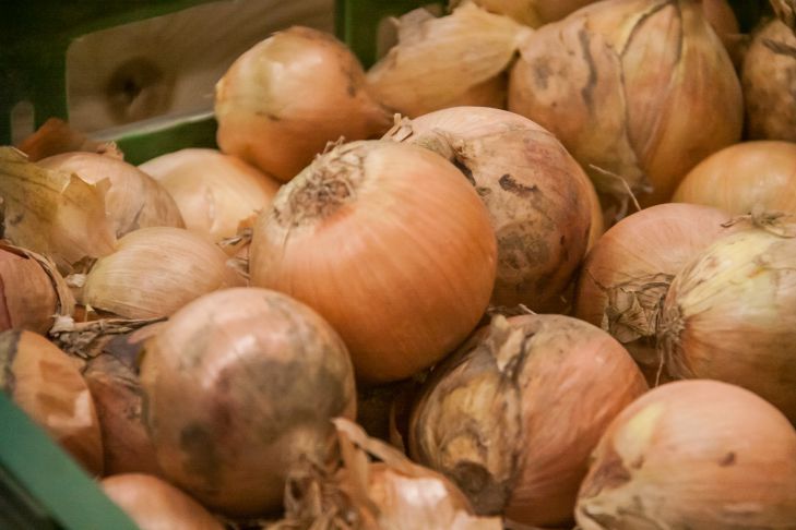 Was nach Zwiebeln gepflanzt werden kann: Erfahrene Sommerbewohner gaben Empfehlungen Zwiebel