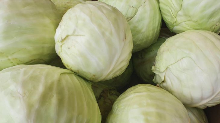 So haben Sie Sauerkraut sicher noch nicht gemacht: Fügen Sie ein paar Zutaten zu Ihrem üblichen Rezept hinzu Kohl