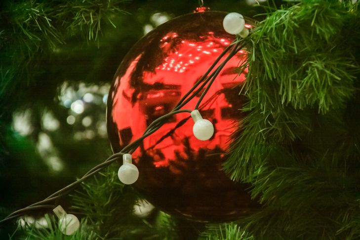 How to Decorate Your Apartment for the New Year Holidays: Elements of Quiet Luxury Decoration