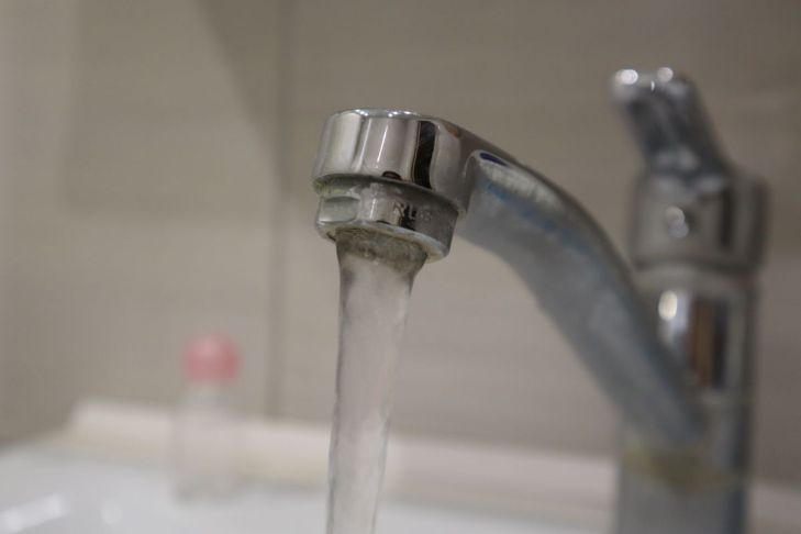 What to do if a houseplant has dried up and is it possible to bring it back to life? Useful tips Faucet Water