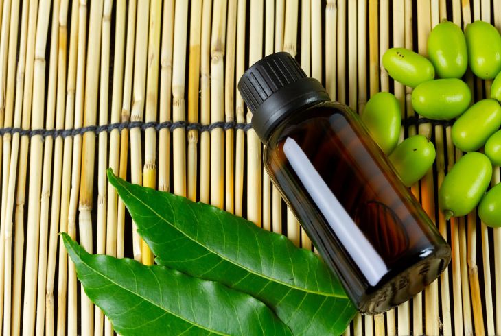 How to Make an All-Purpose Insecticide: Try Neem Oil neem oil