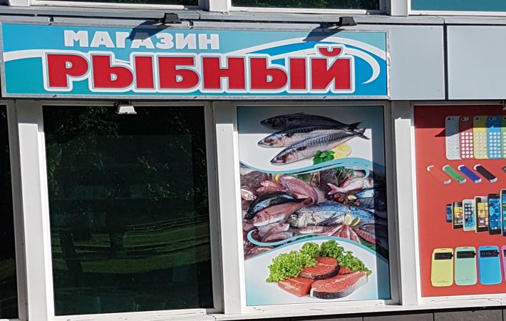 This Fish is Rotten: How to Determine the Freshness of a Product in 10 Seconds fish