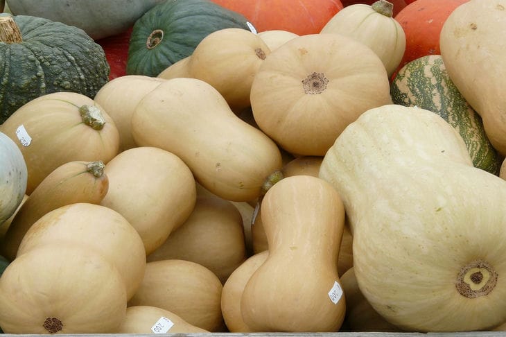 What can you make from pumpkin other than soup: this dish will win over even those who are skeptical about the vegetable with its taste Pumpkins