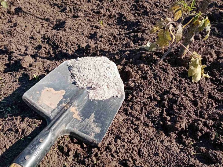 What to do with overly acidic soil in the garden: add one of 4 ingredients shovel