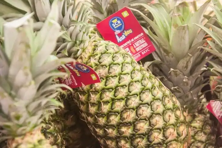 3 ensaladas con piña para la mesa de Año Nuevo: una selección con la que sueña toda ama de casa piñas