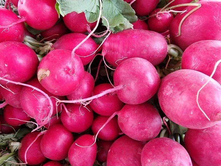 3 secrets pour faire pousser des radis à la maison : vous aurez le temps de les récolter d'ici le nouvel an Radis