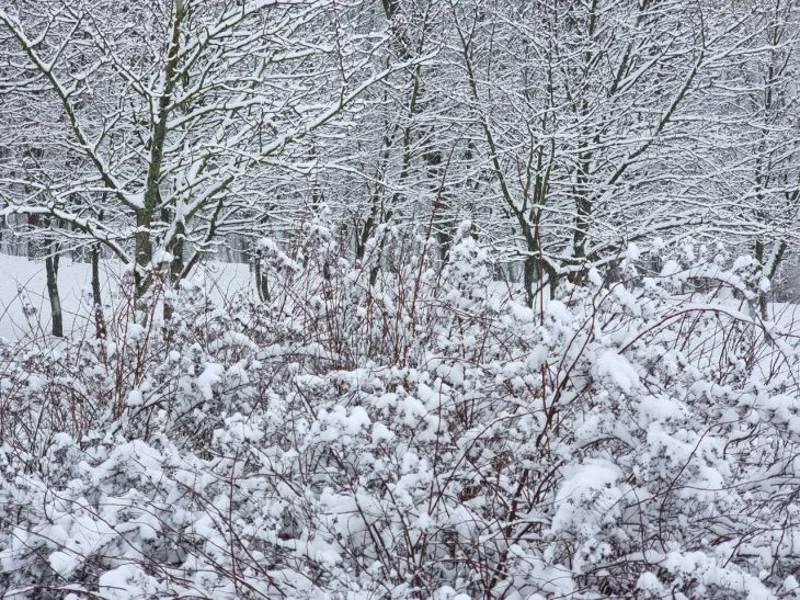 winter
