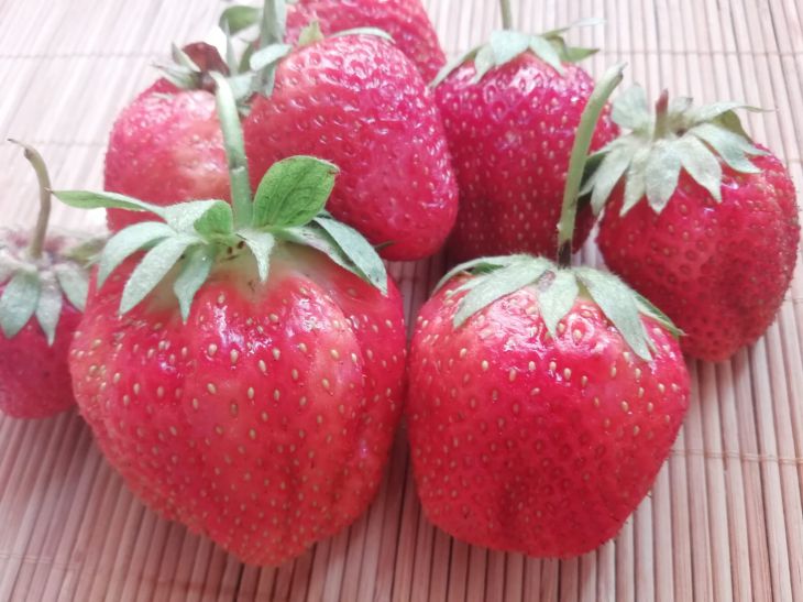 Quelles 3 astuces aideront à augmenter la récolte de fraises : tous les résidents d'été ne le savent pas fraise