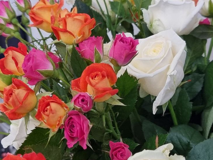 Why You Should Pour Mouthwash Into a Flower Vase: A Trick Every Woman Should Know flowers