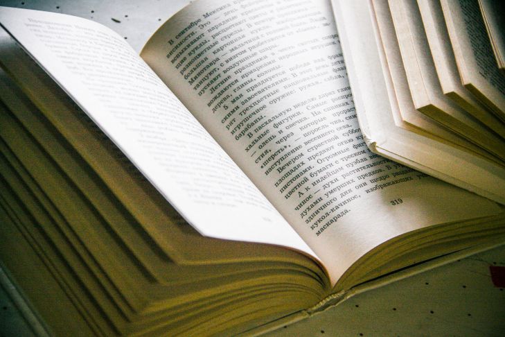 What Happens to a Person's Brain When They Stop Reading: How Useful Are Books - The Effectiveness of Reading Can Be Different a book