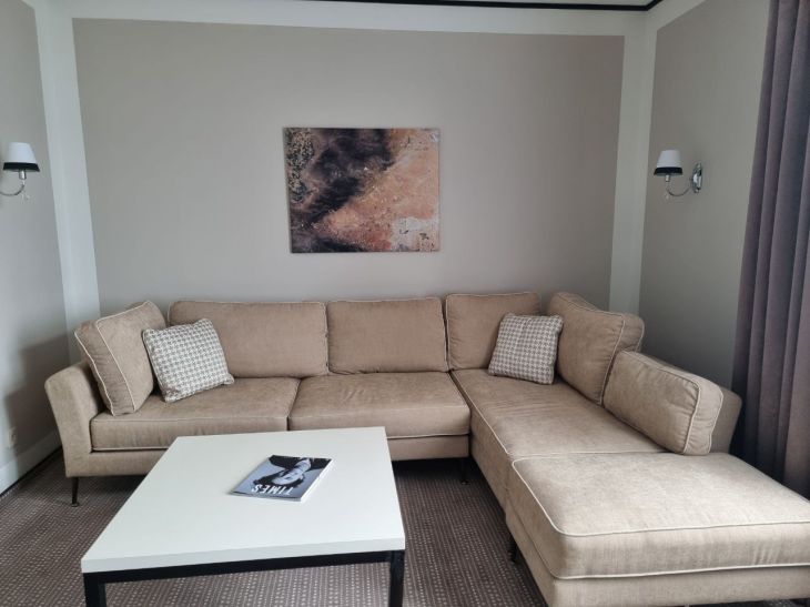 How to clean a sofa: the easiest ways are named - there will be no trace of stains and odors sofa