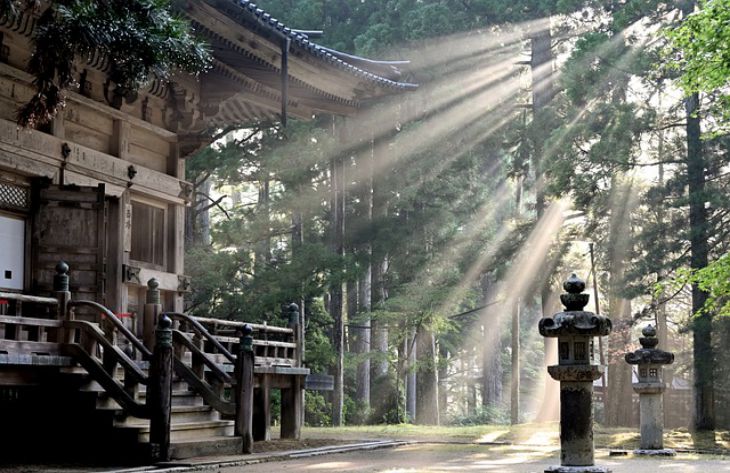 Which 2 Museums in Japan Are Considered the Most Unusual: Not Everyone Knows This Japan