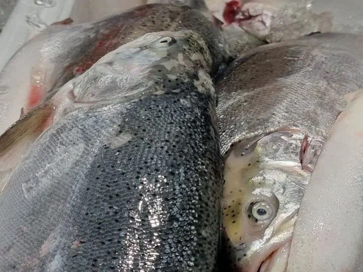 How to Get Rid of Fishy Smell: Tricks That Will Save You After Cooking – 3 Methods Fish