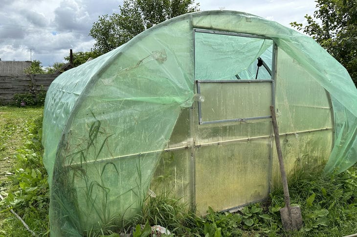 Is it possible to cover flowers with film: harm or benefit – is the popularity of this material justified greenhouse