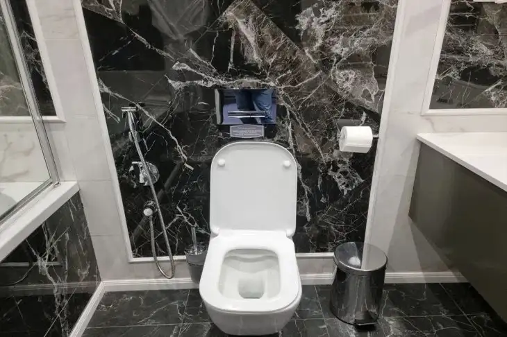 How to not only clean a toilet, but also get rid of the unpleasant smell: this product is the best in its field Toilet