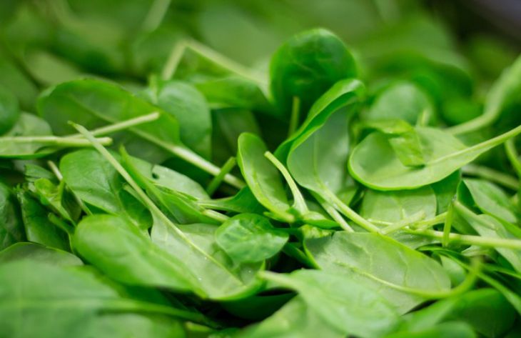 Sabroso y saludable: cómo preparar una ensalada con espinacas: nadie rechazará definitivamente un plato así espinaca