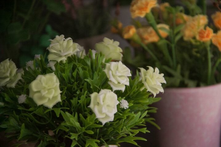 Das unglücklichste Element der Inneneinrichtung wurde genannt: Entfernen Sie es, bevor es niemand sieht Blumen