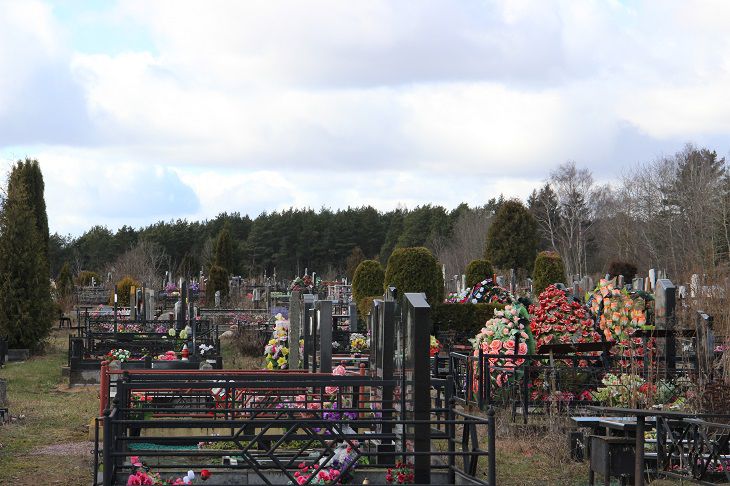 What flowers should not be planted in a cemetery: 3 plants that have no place on a grave cemetery