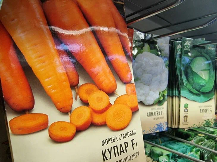 Resulta que muchas personas comen zanahorias de forma incorrecta: aquí se explica cómo hacerlo para una mejor absorción de las vitaminas Zanahoria