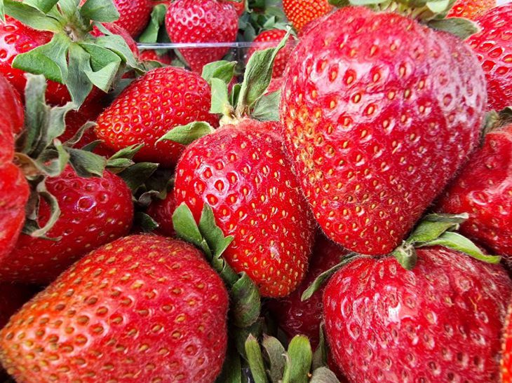 How to Increase Strawberry Yield with Iodine: An Unusual Method – There Will Be Lots of Berries strawberry