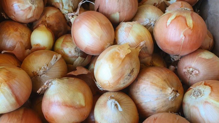 Why experienced housewives freeze onion peels: you will be surprised garlic