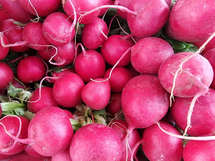 4 errores por los que un veraneante no obtendrá una buena cosecha de rábanos Rábano
