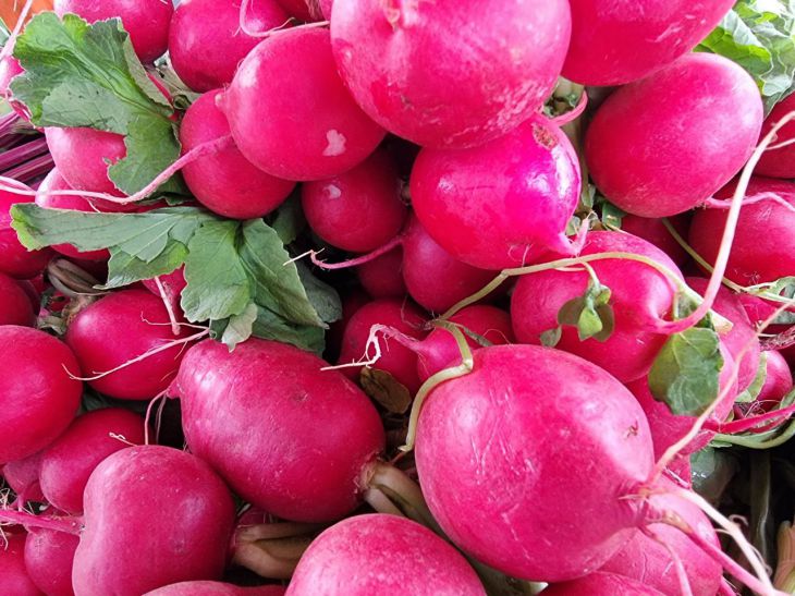 ¿Es posible fertilizar rábanos con ceniza: lo que dicen los expertos? rábano