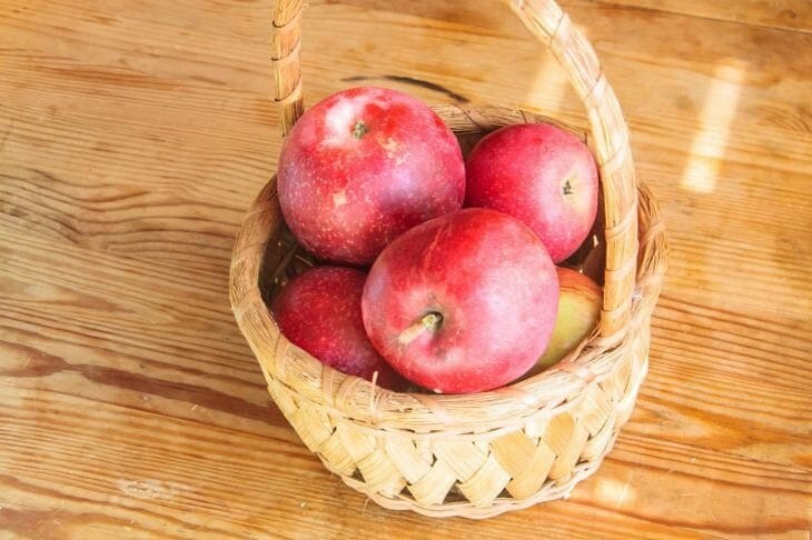 Where can you see the world's largest basket of apples: the size of the fruit inside is more than a meter Apples