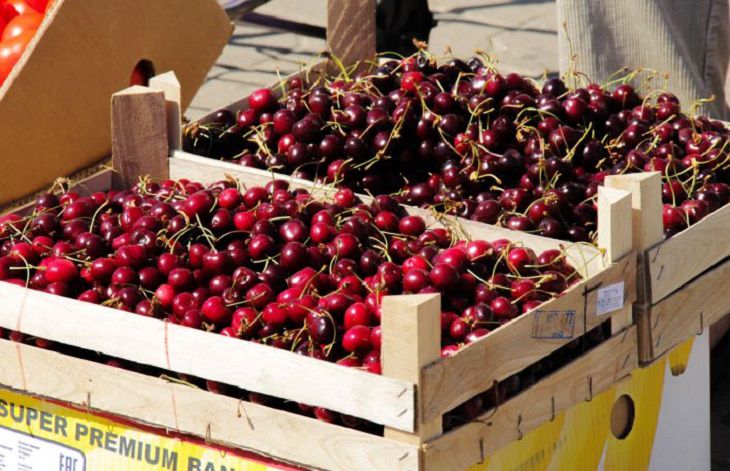 Quels sont les avantages des cerises - que devraient-ils manger joyeux