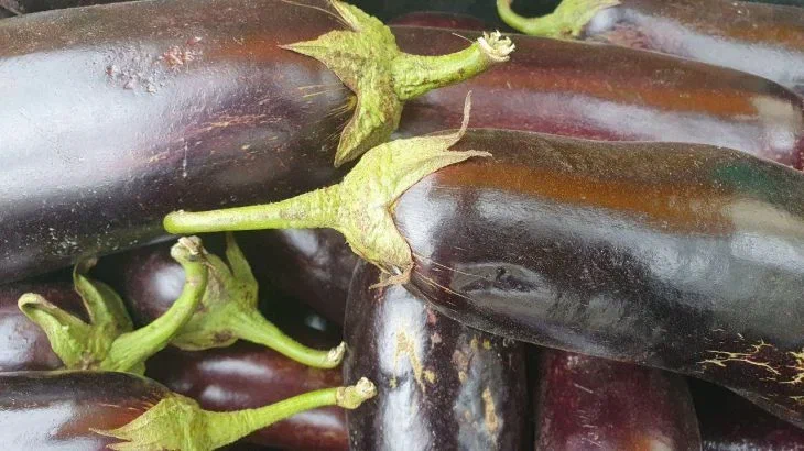 Quels légumes ne doivent pas être consommés crus : ces conseils vous aideront à rester en bonne santé Aubergine