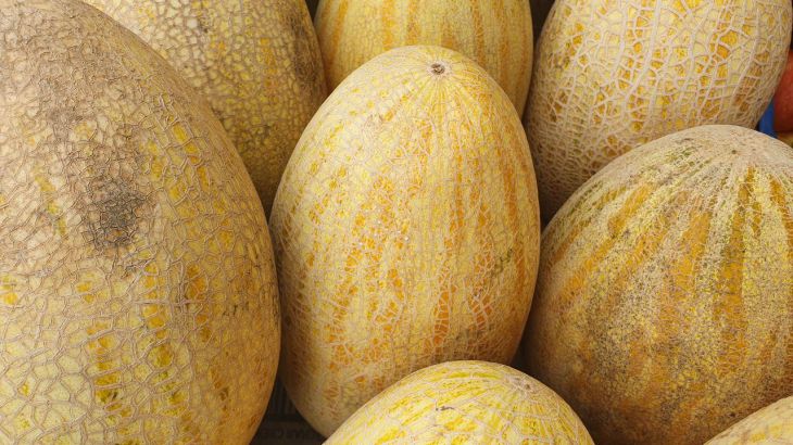 How to identify a melon stuffed with nitrates: one single sign gives away melon