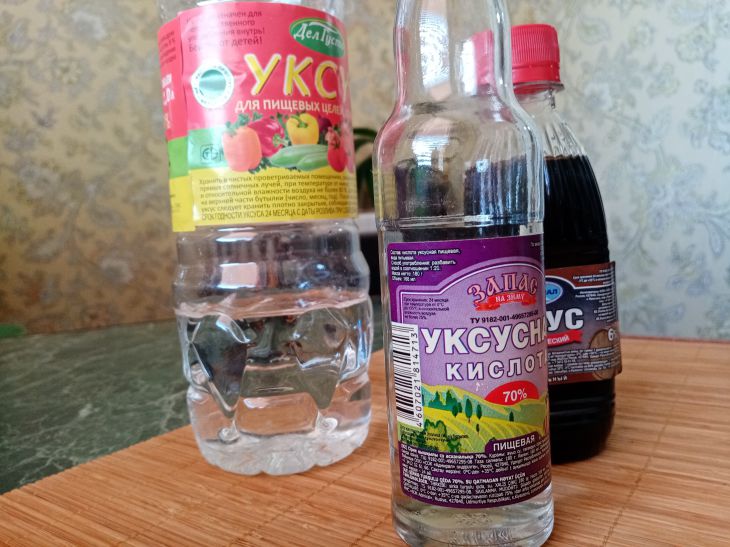 Get rid of rodents forever: an old method from the USSR, how to easily drive away all mice from the dacha vinegar