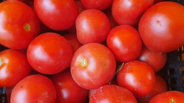 Cómo hacer sopa fría de tomate: pruébala en el último mes del caluroso verano tomates