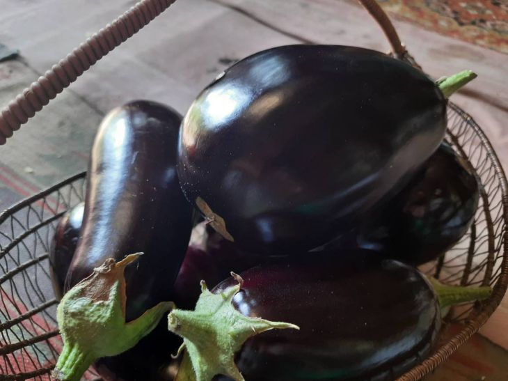 Cómo cocinar berenjenas perfectas: trucos que no debes olvidar berenjena