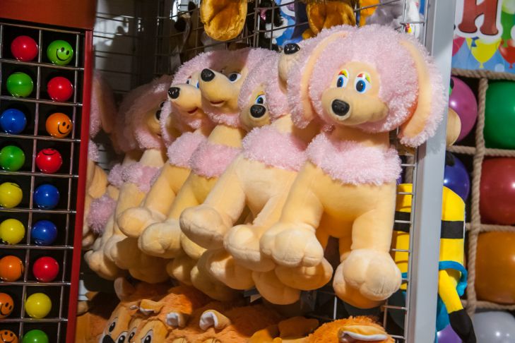 What are the most expensive children's toys in the world: the prices are simply astounding toys