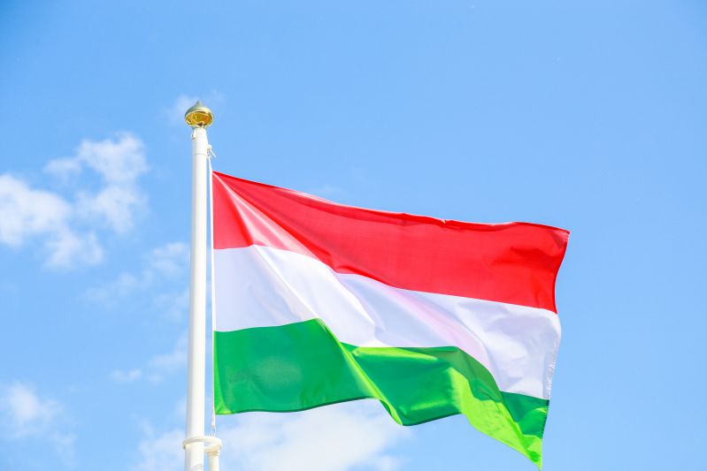 El ministro de Asuntos Exteriores húngaro condenó la idea de que Kiev utilice armas occidentales para atacar profundamente a Rusia. bandera