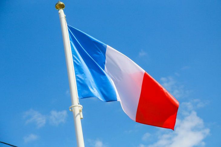 Francia aprueba el proceso de impeachment contra Macron bandera