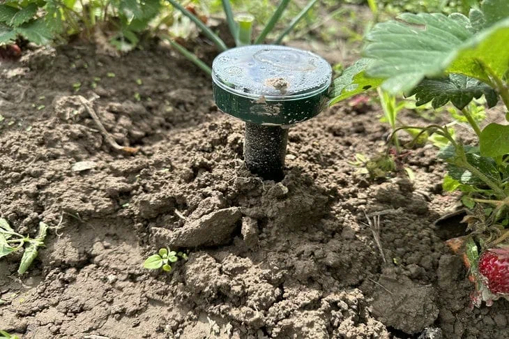 Is it possible to get rid of moles in the garden: some interesting tips Repeller