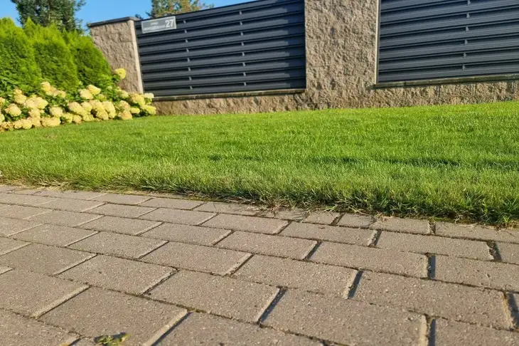 Weeds Between Tiles Will Be Just a Memory: Remember These Effective Ways to Fight Them Tile