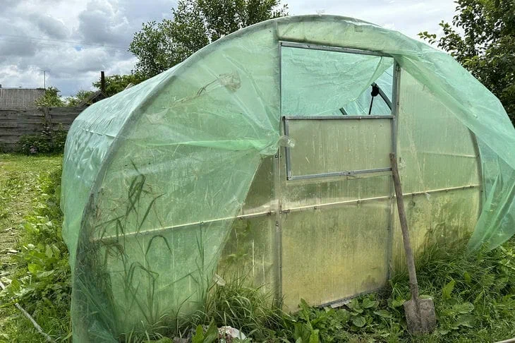 So bereiten Sie Beete im Gewächshaus für die neue Saison vor: die einfachste Methode – in Dörfern ist dies die einzige Möglichkeit Gewächshaus